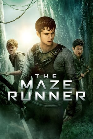 The Maze Runner3